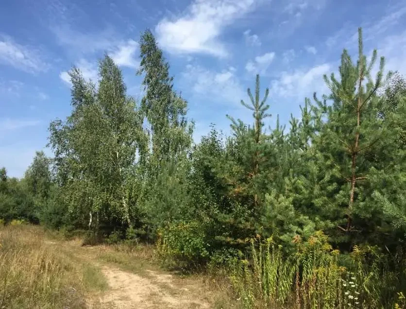 ділянка під житлову забудову Фастівський, Віта-Поштова, Звенигородська 5