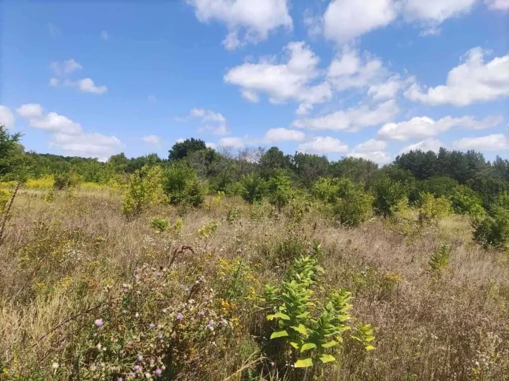 ділянка під житлову забудову Обухівський, Богуслав, Набережна 2