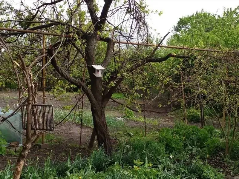 4-к будинок Кропивницький, Подільський, Олександрійська 93 8