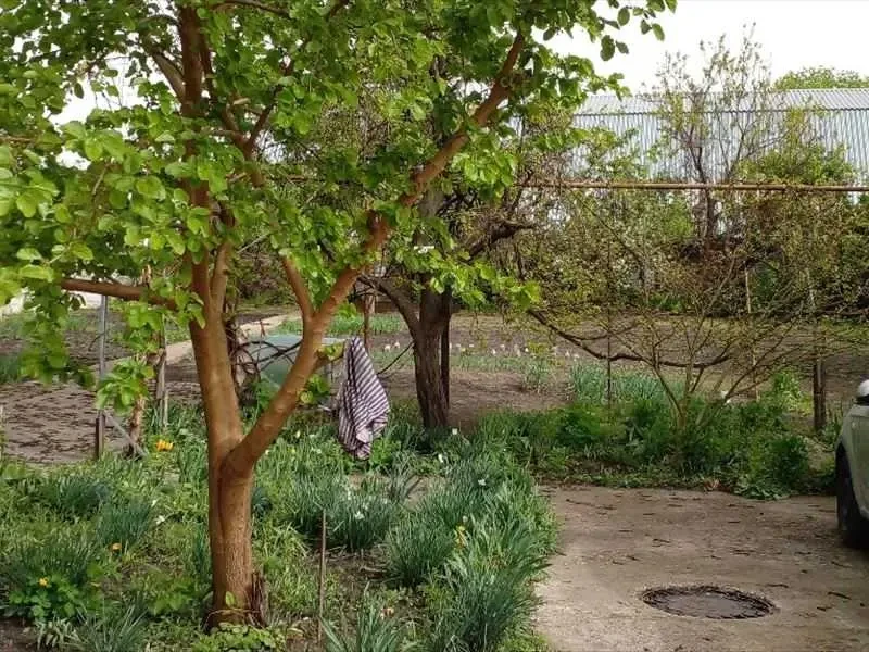 4-к будинок Кропивницький, Подільський, Олександрійська 93 4