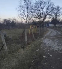 ділянка сільськогосподарського призначення Хустський, Залом, нова