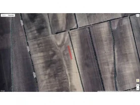 ділянка сільськогосподарського призначення Болградський, Виноградівк..