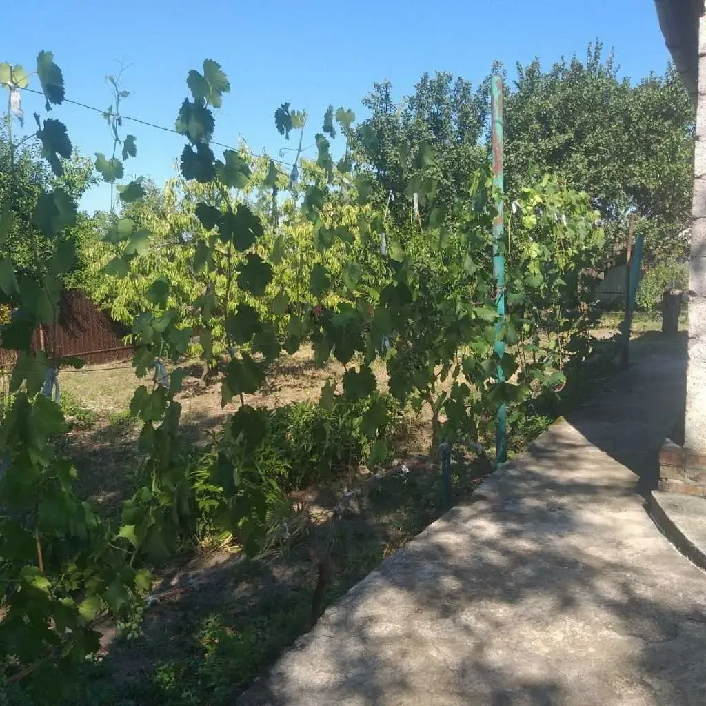 2-к дача Запоріжжя, Дніпровський, 6 лінія 134 6