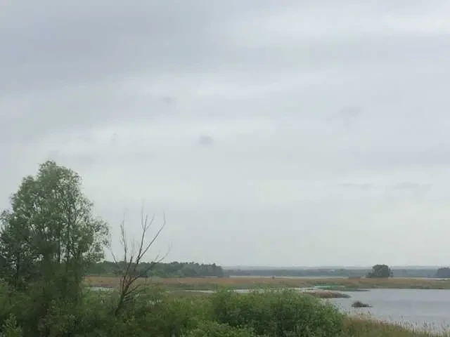 ділянка під житлову забудову Бориспільський, Проців, Центральна 5