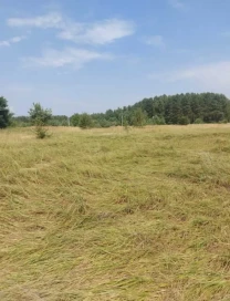 ділянка під житлову забудову Вишгородський, Ясногородка, Польова