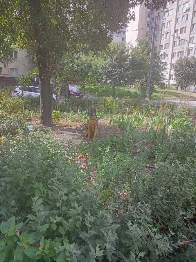 1-к квартира Київ, Солом`янський, Степана Васильченка 12 13