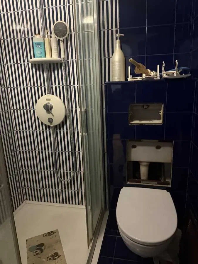 3-к квартира Київ, Дарницький, Анни Ахматової 43 9