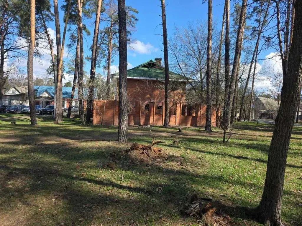 торгові площі Бучанський, Буча, Гамалия 3