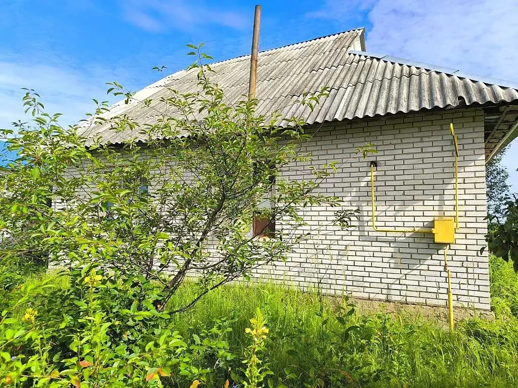 2-к будинок Бучанський, Северинівка, Польова 5