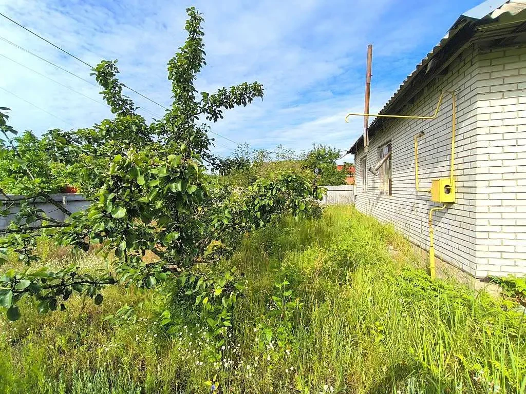 2-к будинок Бучанський, Северинівка, Польова 4