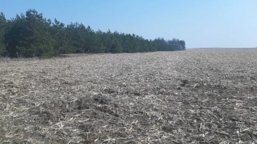 ділянка сільськогосподарського призначення Бориспільський, Вороньків..