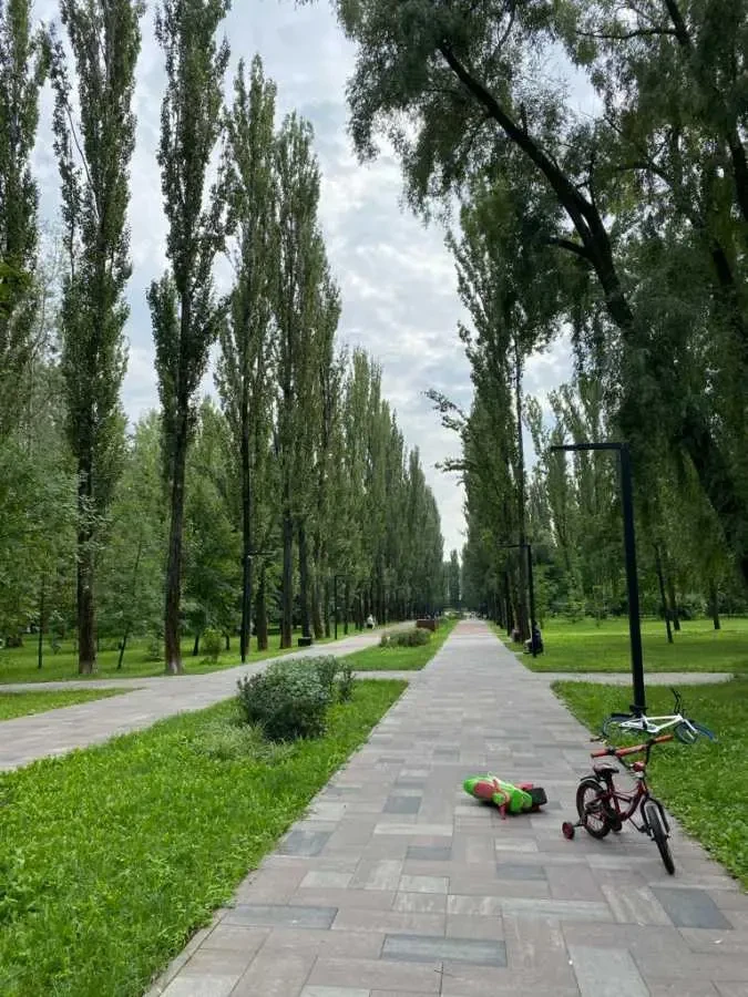 2-к квартира Київ, Шевченківський, Олени Теліги 25 17