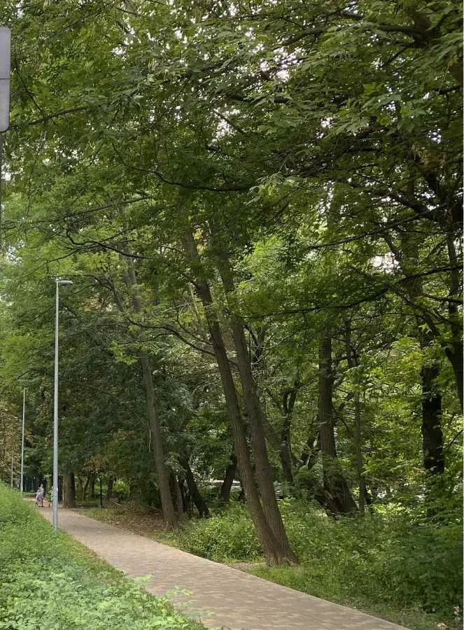 2-к квартира Київ, Шевченківський, Тимофія Шамрила 4а 17