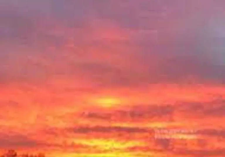 1-к квартира Київ, Деснянський, Милославська 18 4