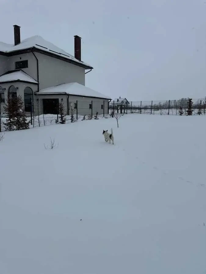 5-к будинок Броварський, Богданівка, Подильна 3