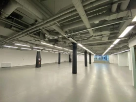 Сдам торговое помещение Київ, Басейна вул.