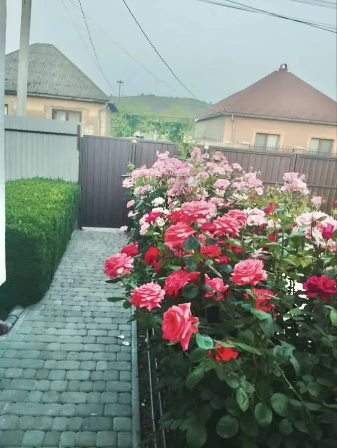 6-к будинок Берегівський, Берегове, Легоцького 71 7