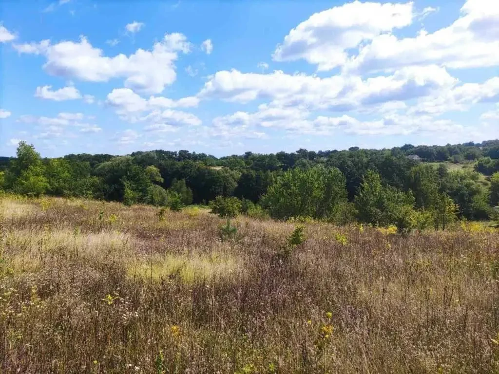 ділянка під житлову забудову Обухівський, Богуслав, Набережна