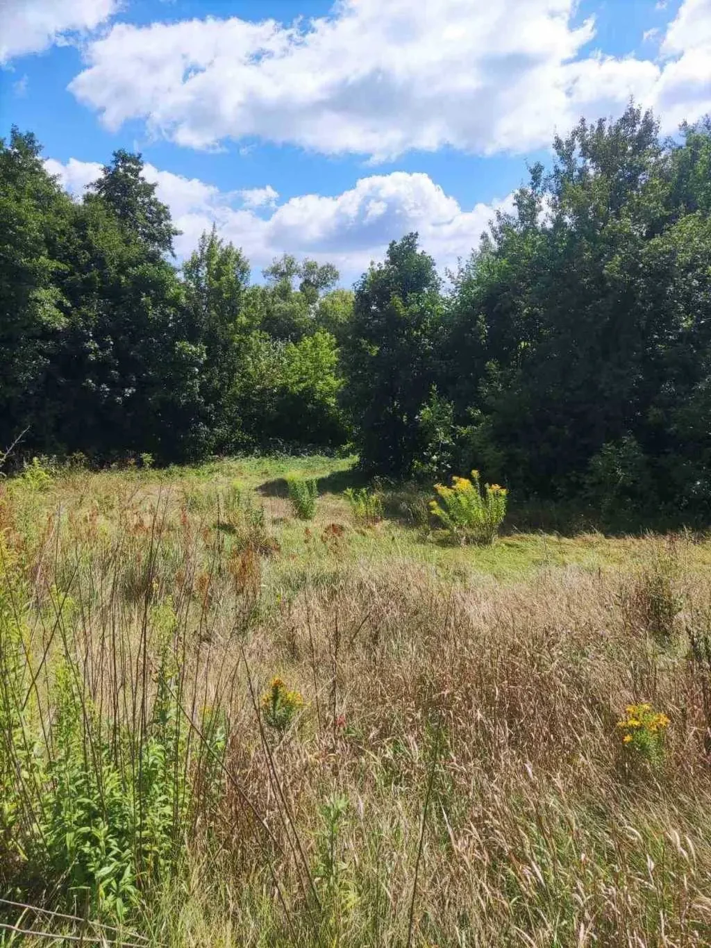 ділянка під житлову забудову Обухівський, Богуслав, Набережна 3