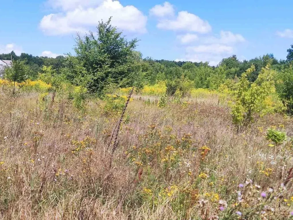 ділянка під житлову забудову Обухівський, Богуслав, Набережна 4