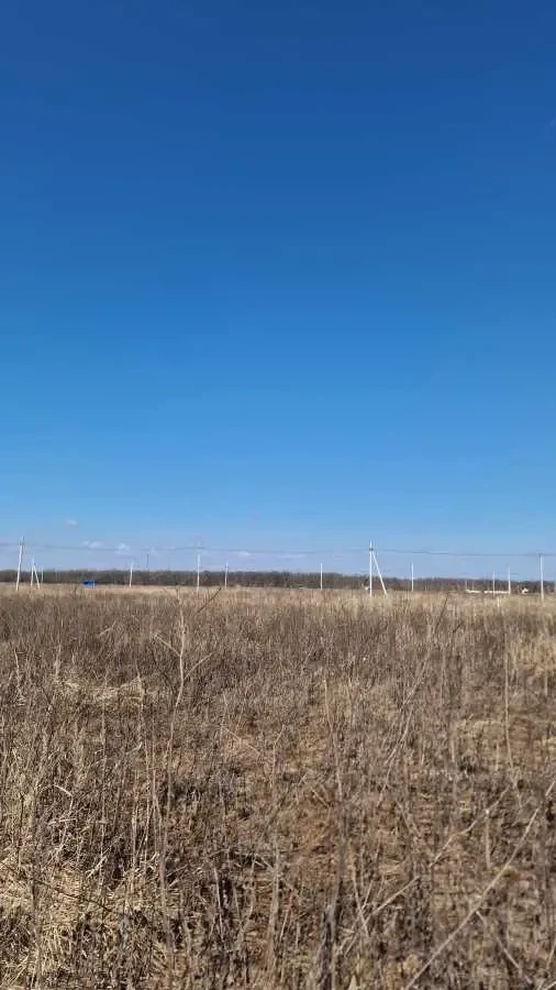 ділянка сільськогосподарського призначення Білоцерківський, Біла Цер.. 3