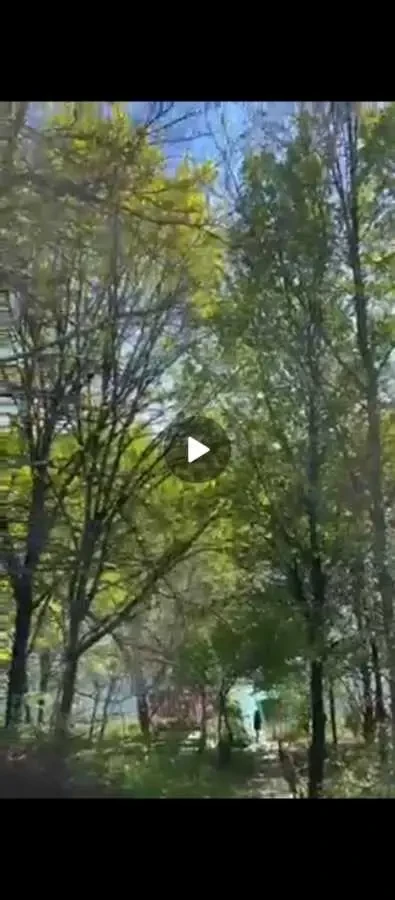 3-к будинок Бучанський, Петрушки, дачний кооператив 16