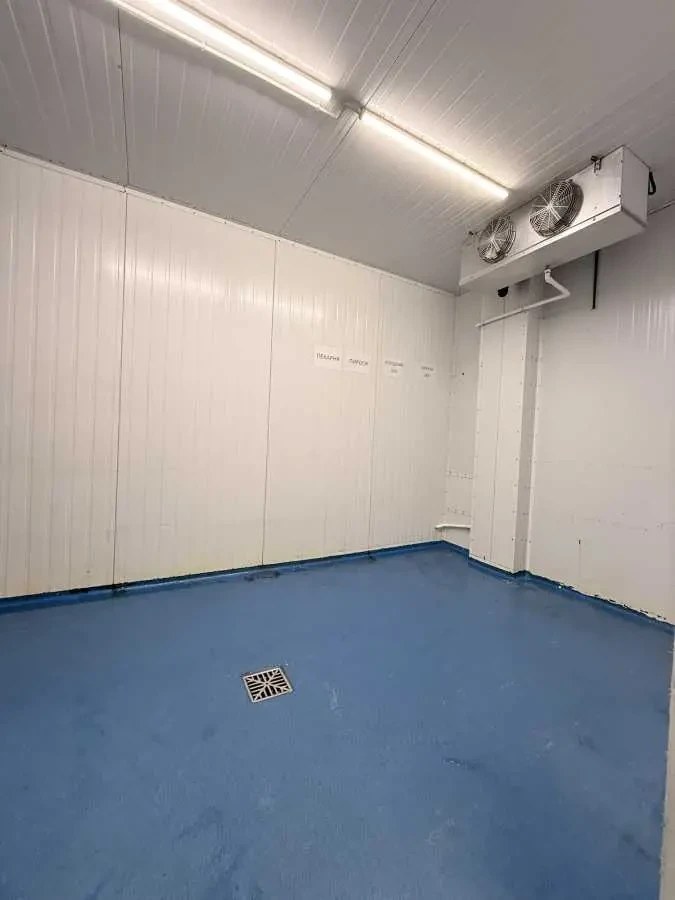 виробничі приміщення Бориспільський, Щасливе, вул. Центральна 5