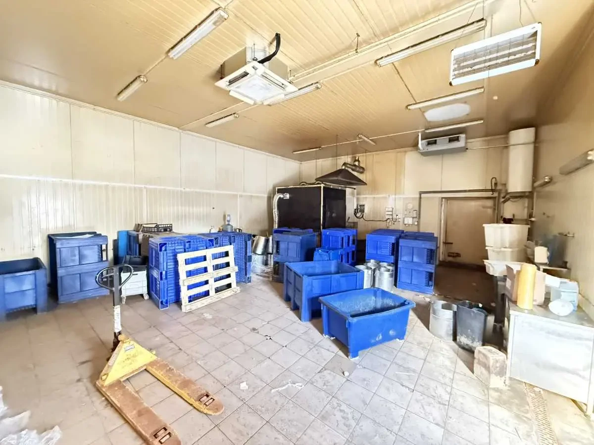 виробничі приміщення Бориспільський, Щасливе, вул. Центральна 13