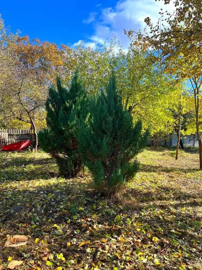 3-к будинок Бучанський, Королівка, кравченка 25