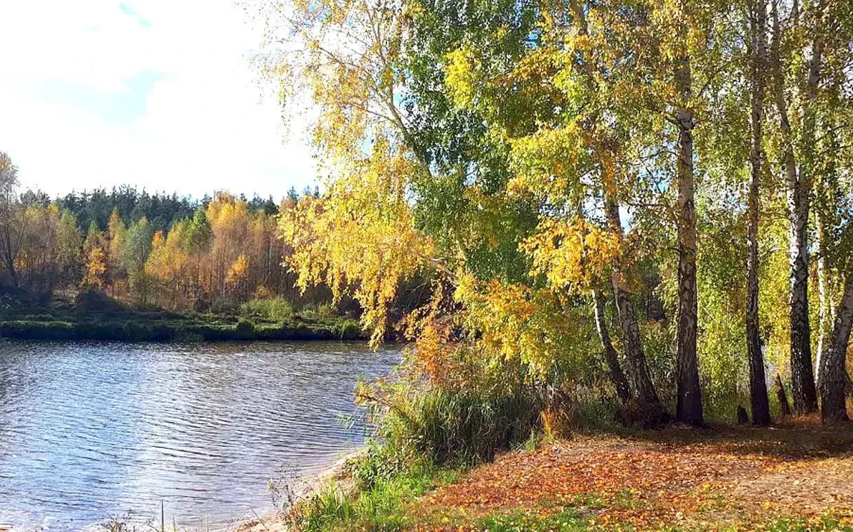 ділянка під житлову забудову Бучанський, Миколаївка, Миколаївська 2