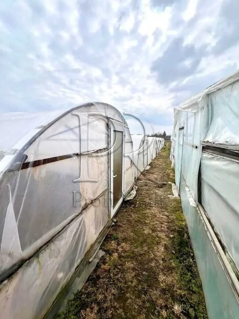 3-к будинок Броварський, Русанів, Партизанська вулиця 12