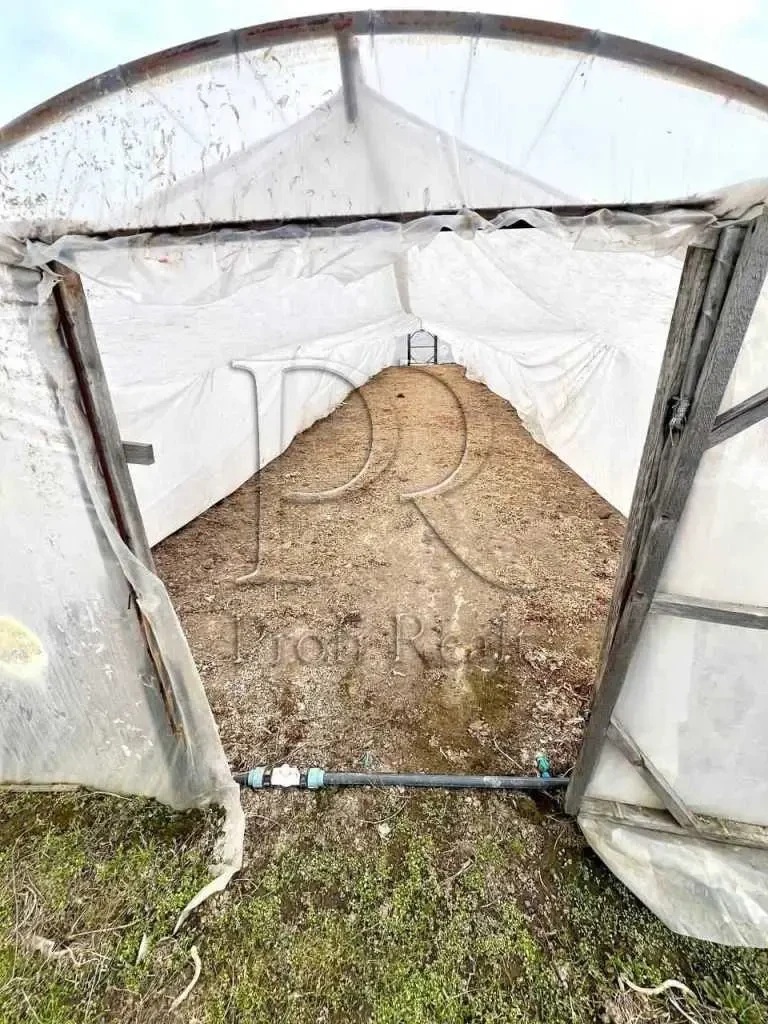 3-к будинок Броварський, Русанів, Партизанська вулиця 19