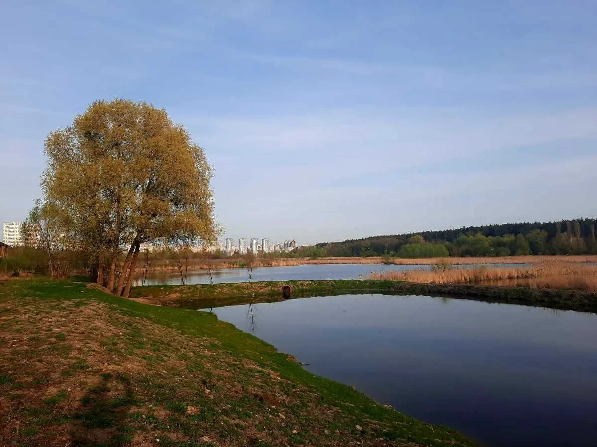 ділянка під житлову забудову Київ, Святошинський, Обухівська 13