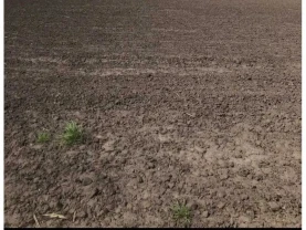 ділянка сільськогосподарського призначення Петровський, Зелене, Нова