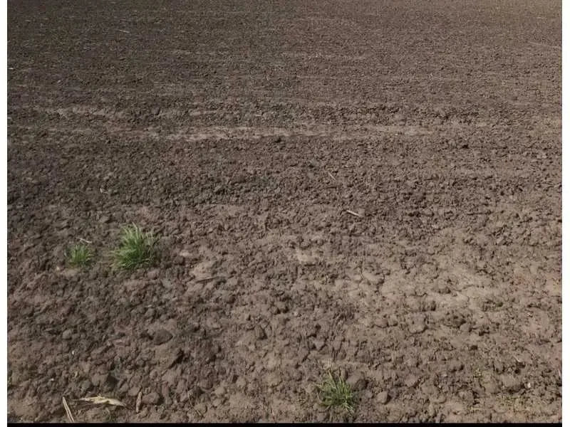 ділянка сільськогосподарського призначення Петровський, Артемівка, Н.. 3