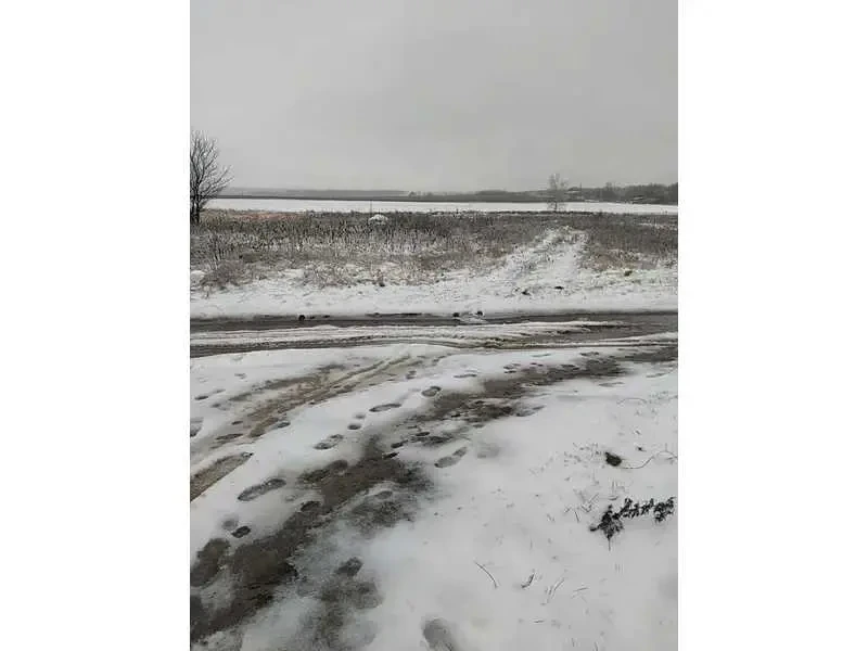 ділянка сільськогосподарського призначення Фастівський, Мостище, Нова 2