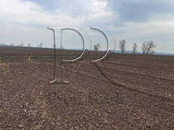 ділянка під житлову забудову Бориспільський, Бориспіль, Киевская обл..