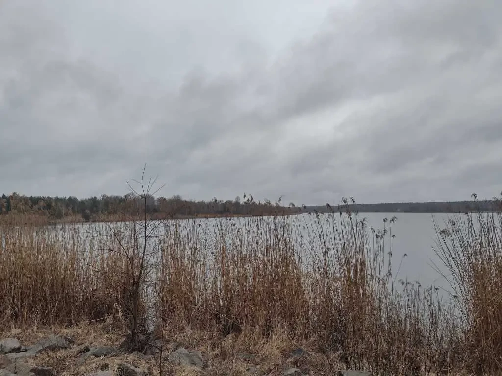 3-к дача Бучанський, Пороскотень, Бузкова 15