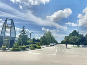 ділянка під житлову забудову Бориспільський, Вишеньки, Виноградная