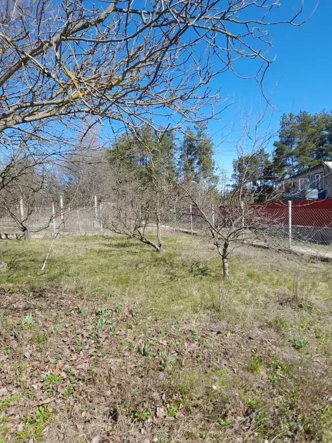 ділянка сільськогосподарського призначення Фастівський, Мала Солтані.. 11