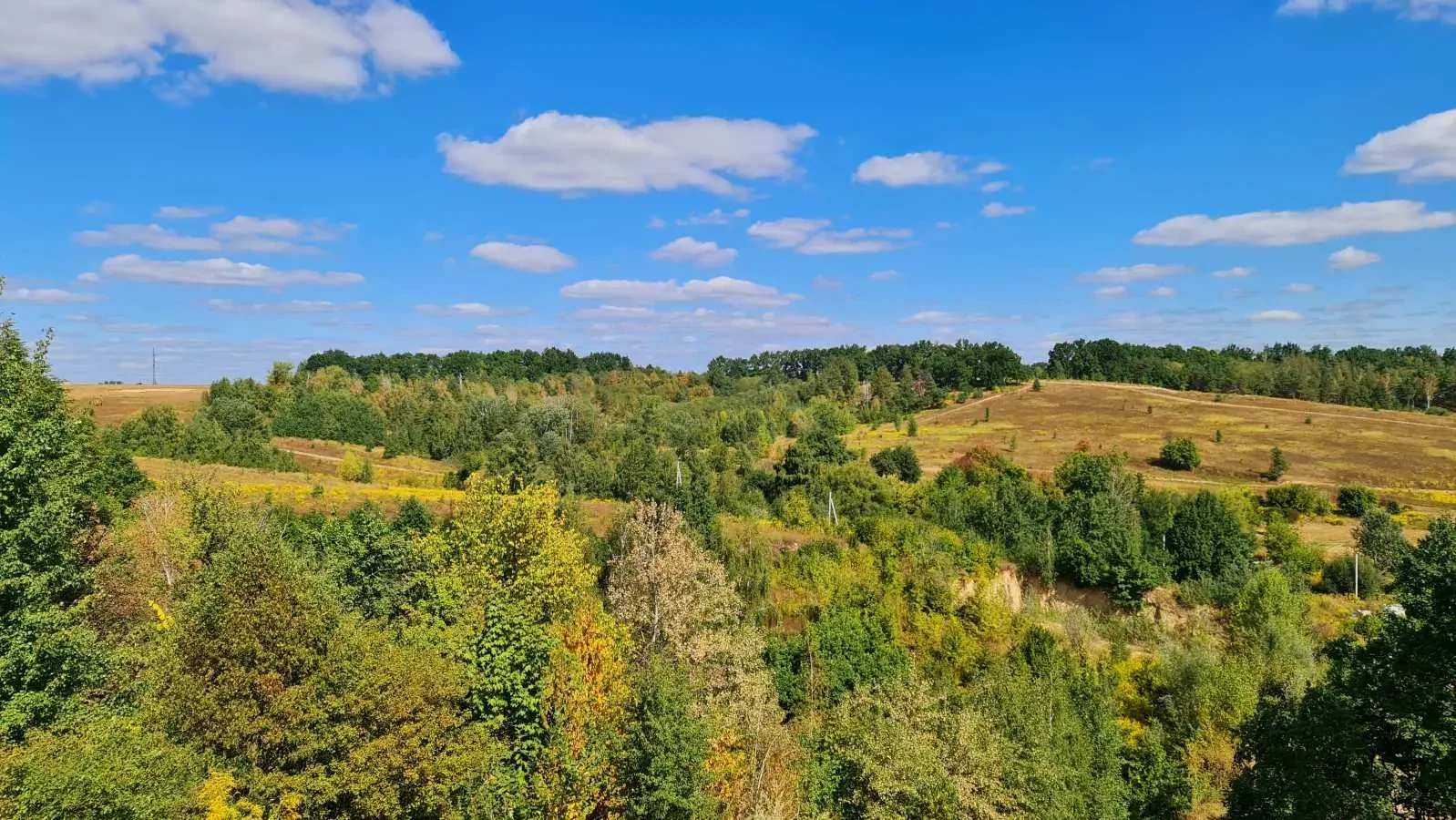 ділянка під житлову забудову Обухівський, Лісники, Щаслива 23