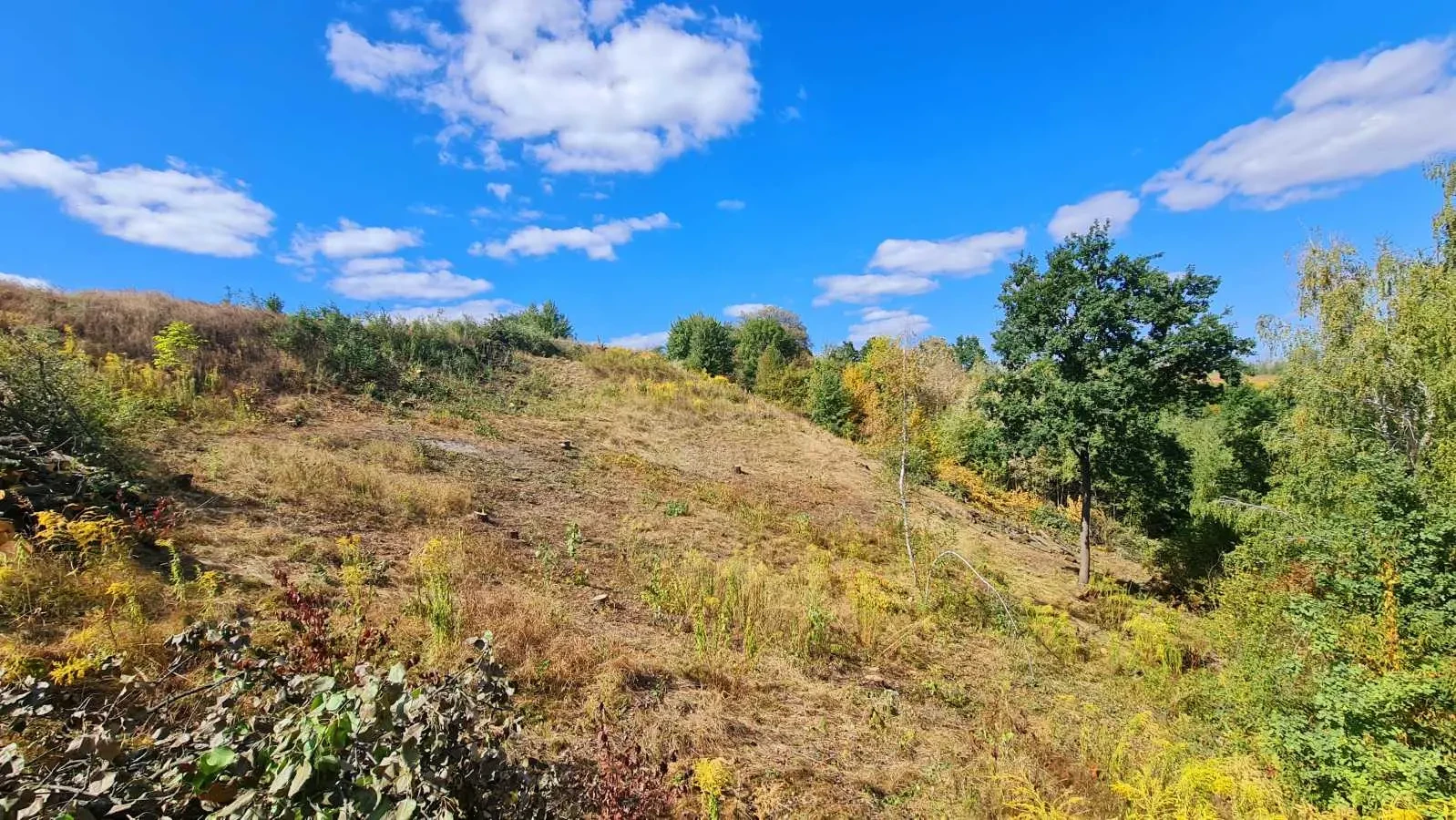 ділянка під житлову забудову Обухівський, Лісники, Щаслива 24