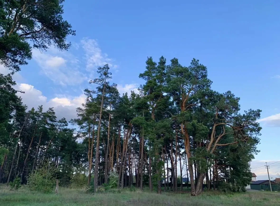 ділянка під житлову забудову Вишгородський, Новосілки, Райдужна 9