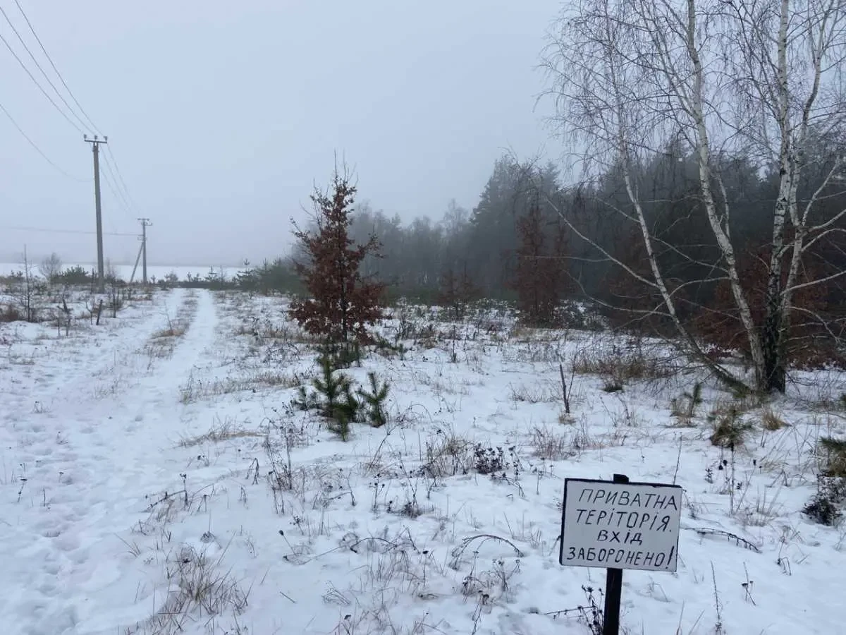 ділянка під житлову забудову Бучанський, Музичі, Степова 3