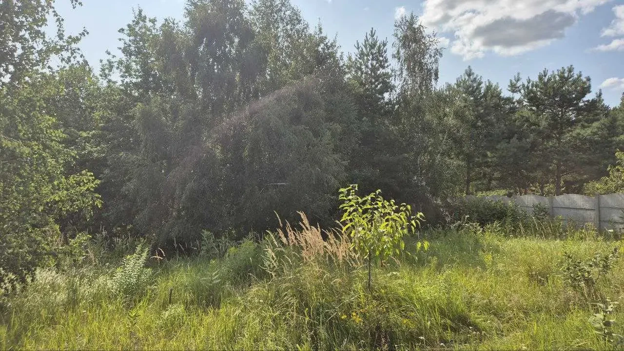 ділянка під житлову забудову Бучанський, Музичі, Степова 2