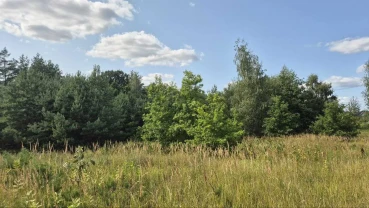 ділянка під житлову забудову Бучанський, Музичі, Степова