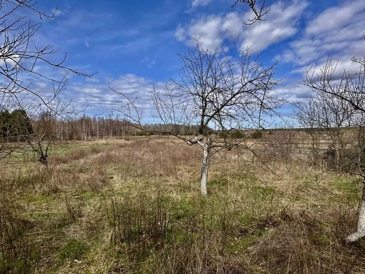 2-к будинок Бучанський, Плахтянка, Шевченка 1 24