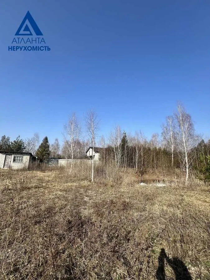 ділянка сільськогосподарського призначення Ківерцівський, Озерце, Лі.. 21