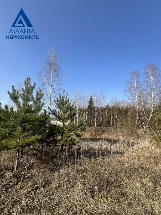 ділянка сільськогосподарського призначення Ківерцівський, Озерце, Лі.. 9