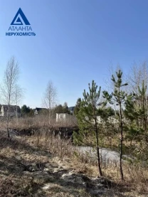 ділянка сільськогосподарського призначення Ківерцівський, Озерце, Лі..